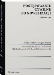Postępowanie cywilne po nowelizacji. Vademecum