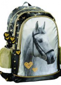 Plecak szkolny Horse PP20H-081 PASO