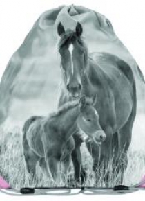 Worek na buty Horses PP20KO-712 PASO