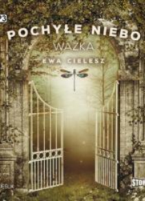 Pochyłe niebo T.3 Ważka audiobook