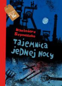 Tajemnica jednej nocy