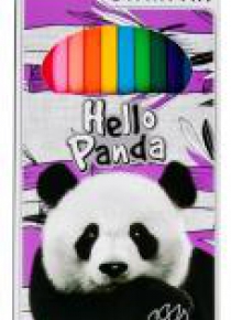 Kredki ołówkowe 12 kolorów Panda