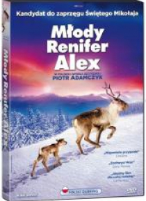 Młody renifer Alex DVD