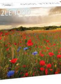 Puzzle 1000 Field of Flowers