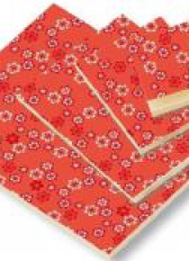 Notes ozdobny A4 BR NP L27 D ROSSI