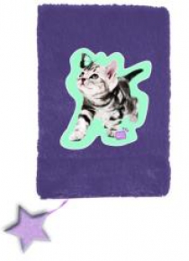 Pluszowy pamiętnik Studio Pets PTN-3670 PASO