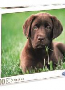 Puzzle 500 HQ Chocolate Puppy