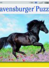 Puzzle 200 Piękno konia