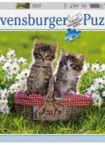 Puzzle 1000 Koci piknik