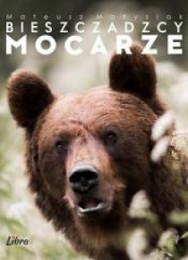 Bieszczadzcy mocarze