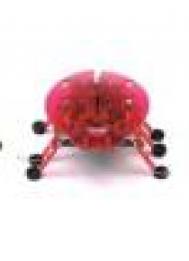 Hexbug Żuczek mix