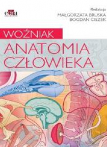Anatomia człowieka. Woźniak