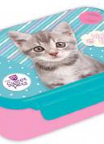 Pojemnik na śniadanie The Sweet Pets Kot