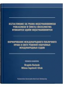 Kształtowanie się prawa międzynarodowego pub. ...