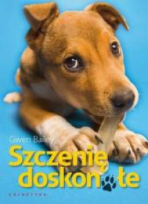 Szczenię doskonałe