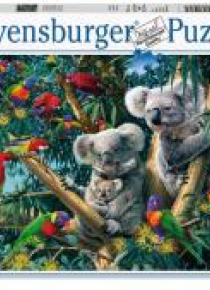 Puzzle 500 Koala na drzewach