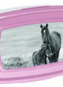 Śniadaniówka Horses PP20KO-3022 PASO