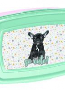 Śniadaniówka Buldog PP20BU-3022 PASO