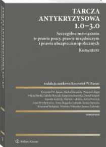 Tarcza antykryzysowa 1.0 - 3.0.