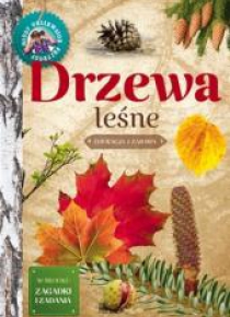 Młody Obserwator Przyrody. Drzewa leśne