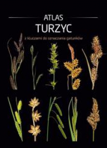 Atlas turzyc z kluczami do oznaczania gatunków