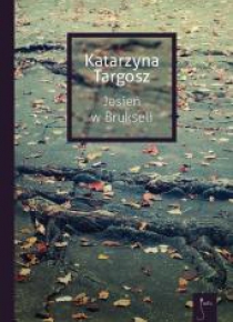 Jesień w Brukseli