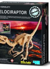 Wykopaliska - Velociraptor