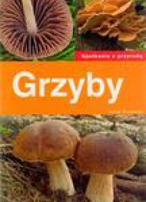 Spotkania z przyrodą. Grzyby