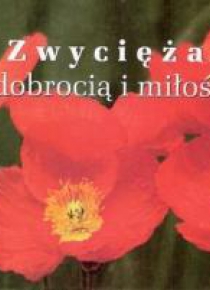 Perełka 193 - Zwyciężaj dobrocią i miłością.