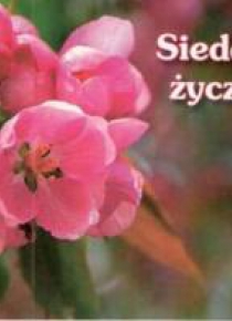 Perełka 026 - Siedem życzeń