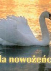 Perełka 198 - Dla nowożeńców.