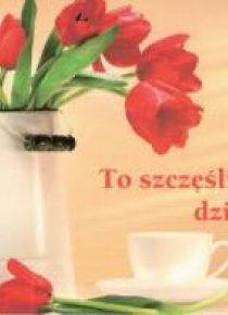 Perełka 134 - To szczęśliwy dzień!