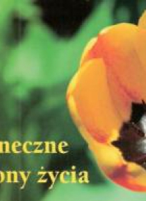Perełka 129 - Słoneczne strony życia