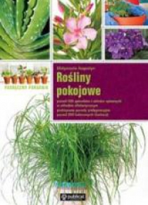 Rośliny pokojowe