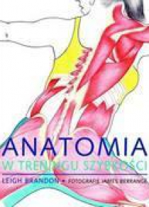 Anatomia w treningu szybkości