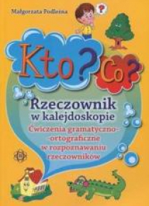 Kto? Co? Rzeczownik w kalejdoskopie
