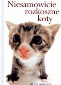 Niesamowicie rozkoszne koty