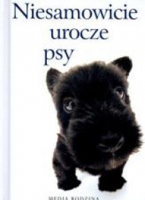 Niesamowicie urocze psy
