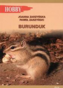 Burunduk