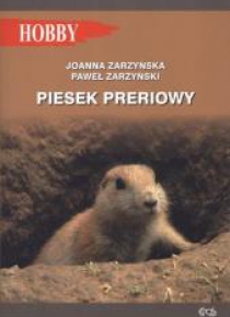 Piesek preriowy