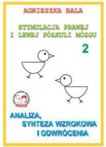 Stymulacja prawej i lewej półkuli 2 Analiza,synt.