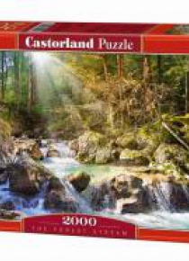 Puzzle 2000 Strumyk w lesie  CASTOR