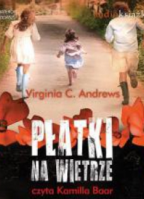 Płatki na wietrze CD MP3