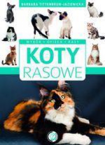 Koty rasowe SBM