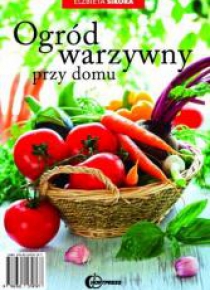 Ogród warzywny przy domu HORTPRESS