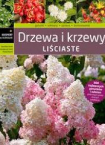 Ekspert w ogrodzie. Drzewa i krzewy liściaste