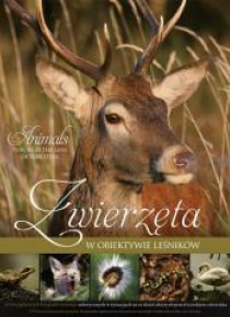 Zwierzęta w obiektywie leśników