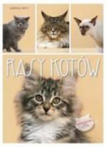 Rasy kotów