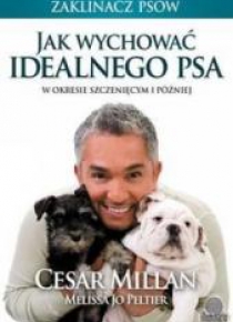Jak wychować idealnego psa